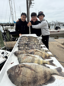 Biloxi Winter Sheepshead Trip - 4-Hour Guided Fishing Success