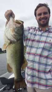 Largemouth Bass: Fishing Frenzy in Lake Fork