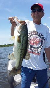 Largemouth Bass: Trophy Pursuits in Lake Fork