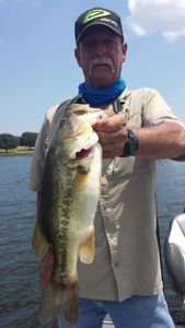 Lake Fork Bass Fishing Guides: Reelin' Royalty