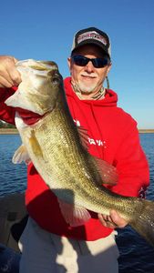 Tales of Trophy Bass 