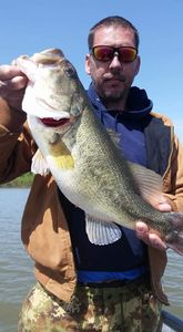 Largemouth Bass: Chasing the Big Ones!