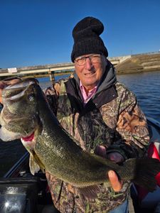 11/1/25 Fishing Report