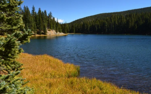 Things To Do In Lake Fork 