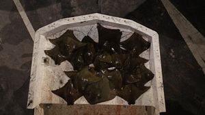 Prime Nights for Targeting Rays and Shallow-Water Species