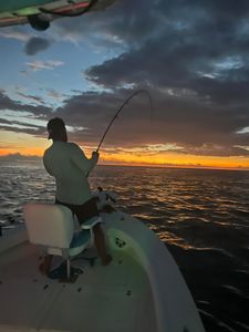 Golden Hour Bliss: Sunset Fishing in Paradise