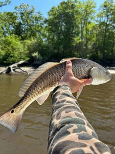 Spring Fishing Strong with Limited Summer Openings