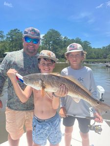 Summer Redfish Action Heating Up in Edisto