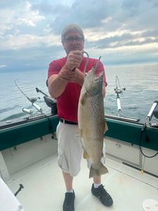 14.12 lb Brown Trout Hits the Net
