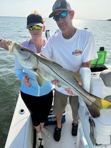 Snook action