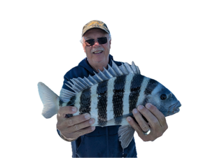Sheepshead