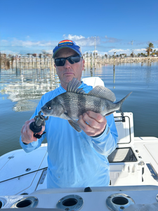 Cape Coral Redfish & Black Drum - Hot Bite All Day with Al!