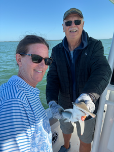 Spring Sharks & Trout: All 4 Chuck's Half-Day Inshore Success
