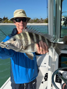 Spring Sheepshead & Trout Action - All 4 Chuck Fishing Charters