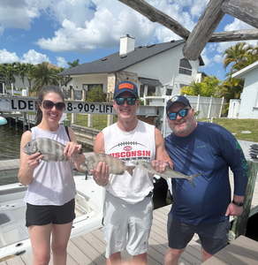 Spring Sheepshead & Mackerel Action - All 4 Chuck Light Tackle
