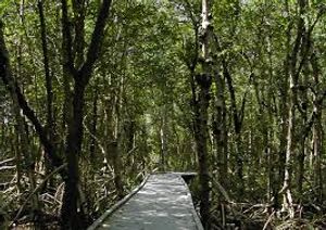 Top Things to Do in Cape Coral