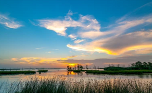 Get Your Valid Louisiana Fishing License 