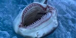 Miami Beach Trophy Fishing Adventure