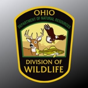 Ohio Fishing License Information for Travelers and Anglers