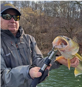 Walleye Fishing Experience 