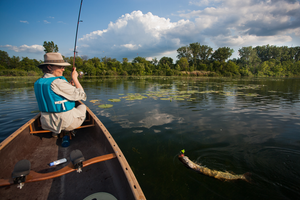Top-Rated Airboat Hunt Adventures Around Bangalore This Spring