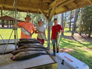 Prime Striped Bass Fishing Conditions on Lake Murray
