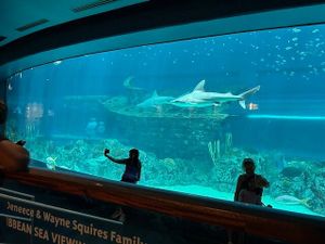 Top Things to Do in Corpus Christi