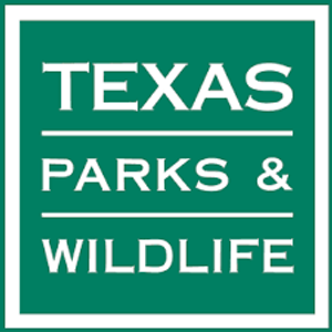 Texas Fishing License Information for Travelers and Anglers