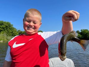 Trout Fishing Adventure in Michigan