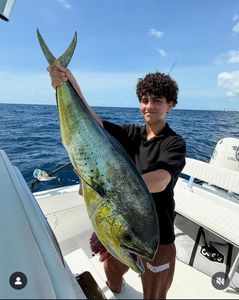 Mahi season is calling!