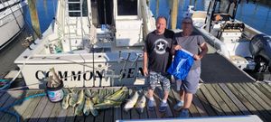 Nonstop Mahi, Tilefish, and White Marlin Action