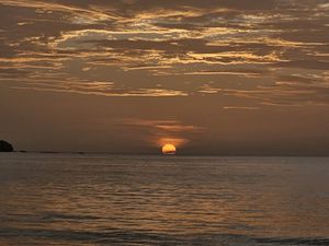 Things To Do In Florida