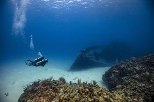 Grand Cayman Scuba Diving SEA School Travel