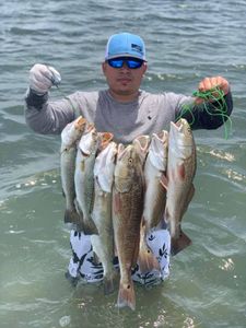 Red Drum Fishing In Corpus Christi, TX 