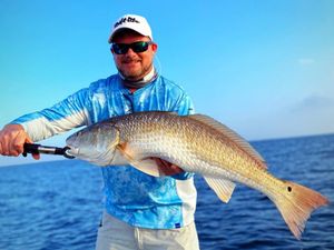 The perfect size of Redfish