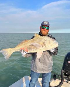 Nice Big Redfish, Texas