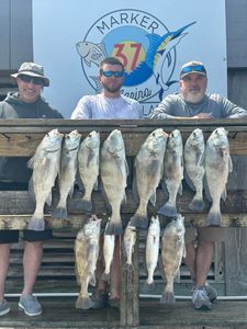 Capt. Brent Stotler Stacks Up 74 lbs Before the Wind Picks Up!