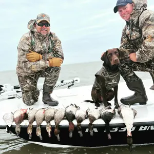 Waterfowl Hunting License Information