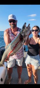 Hot Lake Ontario Salmon and Lake Trout Action Opens Weekend Dates