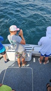 Starfire now on TikTok with Reel & Chill gear