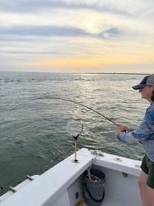 A short evening run produced blues and Spanish mackerel, capped off with a great sunset, with 2-hour trips now available through mid-August.