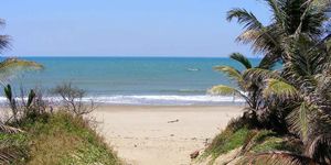 Things To Do In South Padre Island