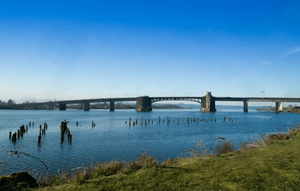 Get Your Valid Washington Fishing License 