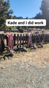 New Mexico Hunting Report