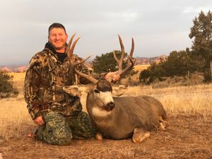 Guided Elk Hunts in Cloudcroft, New Mexico