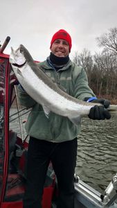 Top-rated Salmon fishing in Manistee, MI