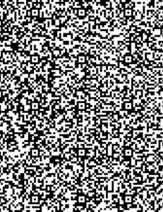 Test fishing reports