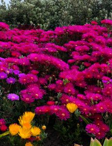 Test2 without changes