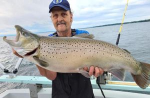 Lake Ontario Fishing Report