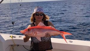 Current Conditions And Recent Success Aboard Our 52 Foot Viking At Sailfish Marina